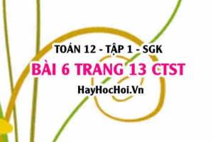 Bài 6 trang 13 Toán 12 tập 1 Chân trời sáng tạo